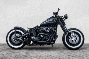 Epic custom Harley Springer Softail photo 1