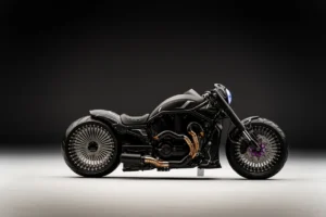 THE BLACK PANTHER photo 1
