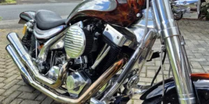RMD Predator photo 3