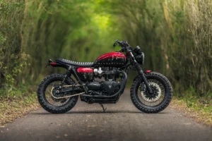 Bloodstorm T120 Triumph photo 2
