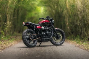 Bloodstorm T120 Triumph photo 5