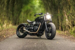British Bobber photo 2