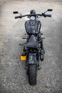 Epic custom Harley Springer Softail photo 6