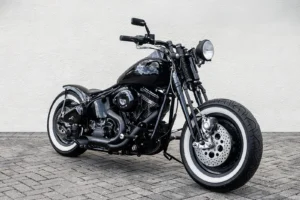 Epic custom Harley Springer Softail photo 5