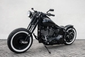 Epic custom Harley Springer Softail photo 4