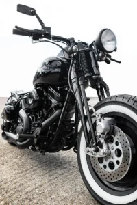Epic custom Harley Springer Softail photo 3