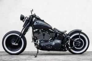Epic custom Harley Springer Softail photo 2