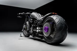 THE BLACK PANTHER photo 3